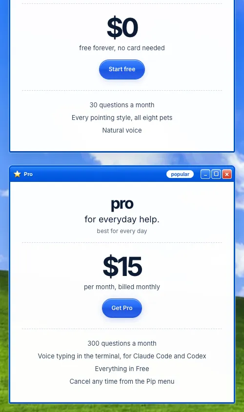 Screenshot of Pip's public pricing: Free, $0 for 30 questions a month; Pro, $15 per month for 300 questions